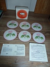 6 PIMPERNEL  Motiv Rose  Untersetzer für Gläser  Made in England   neuwertig!!!