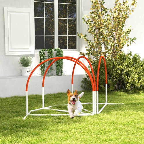 Pawhut hunde agility - agility, set