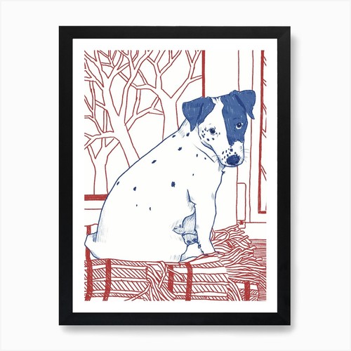 Jack russell terrier hund - jack,