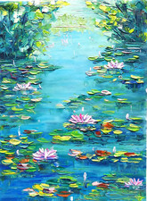 Seerose  in einem Teich