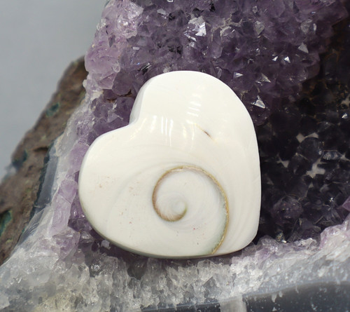 Herz shivas auge operculum - auge,