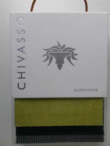 Chivasso survivor musterbuch - survivor,