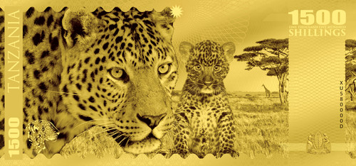 Leopard big five - 1, folie