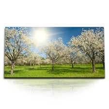 120x80cm Kunstdruck Bilder Kirschgarten Kirschen Kirschblüten Frühling