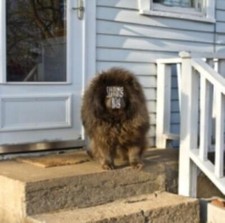 SLEEPING BAG: SLEEPING BAG - CD *BRAND NEW*