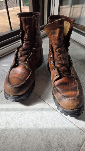 Red wing irish setter sport - setter,
