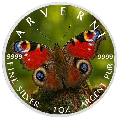 Eyes the forest - ,