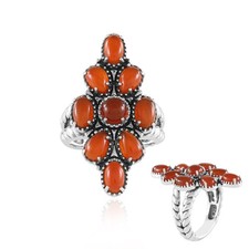 Desert Chic Roter Onyx Silber