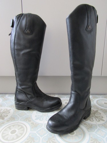 Mountain horse 7 - 7,