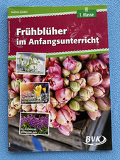 Frühblüher im