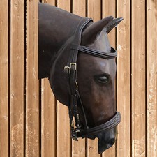 Euroriding Kandare Lexington