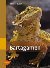 Bartagamen Marlies Busch