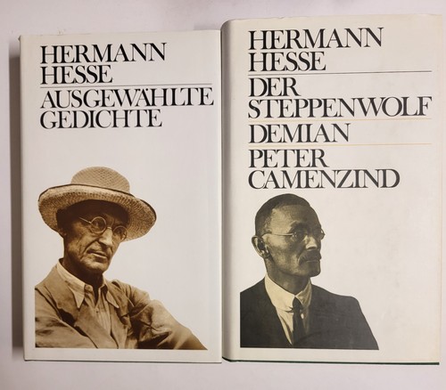 Der steppenwolf demian peter - der, demian,