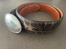 Rar: Reptile's house Python