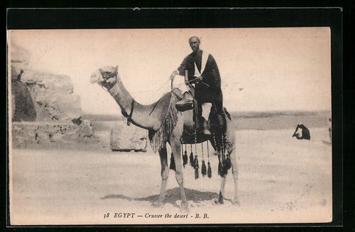 ägypten beduine auf - auf, kamel