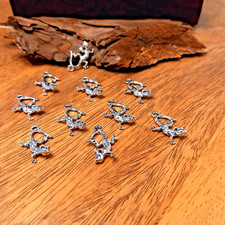 10 Eidechse Eidechsen