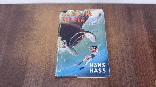 Under the red sea - under, sea,