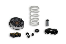 Variomatik Malossi MHR