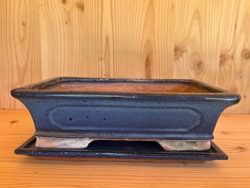 Bonsaischale mit untersetzer - bonsaischale,