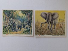 2 Stück Margarine Voss Kunstbilder Indischer Elefant - Afrikanischer Elefant