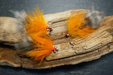 3St. MARK`S POLAR MAGNUS # 6