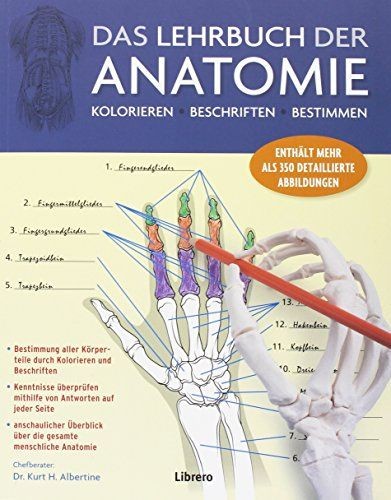 Das lehrbuch der anatomie - lehrbuch,