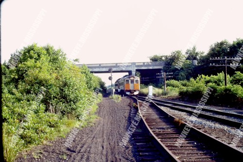 35mm dia septa rrsl t - 35mm,