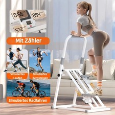 Crosstrainer Rückentrainer