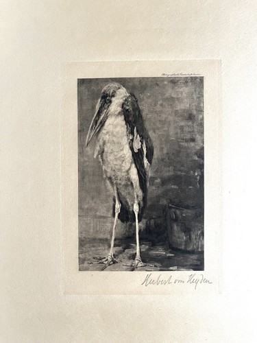 Grafik hubert friedrich von - hubert,