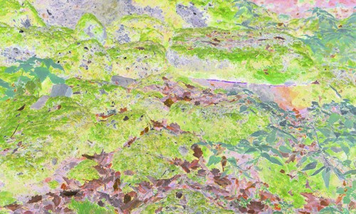 Poster xxl pop art natur - xxl,