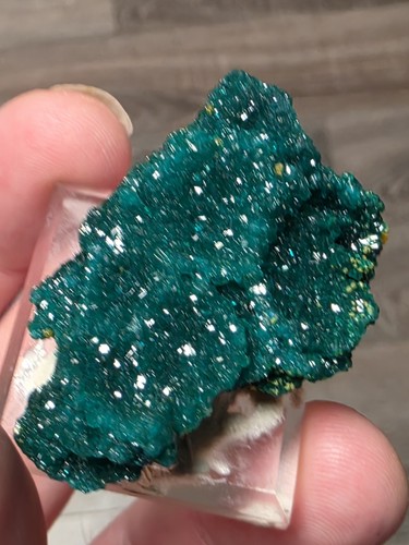 Dioptase wulfinite crystal - w/,