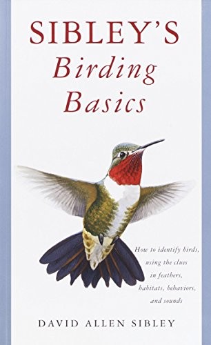 Bird watching guide - bird, guide,