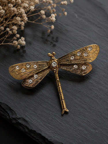 Libelle aus brosche - aus,