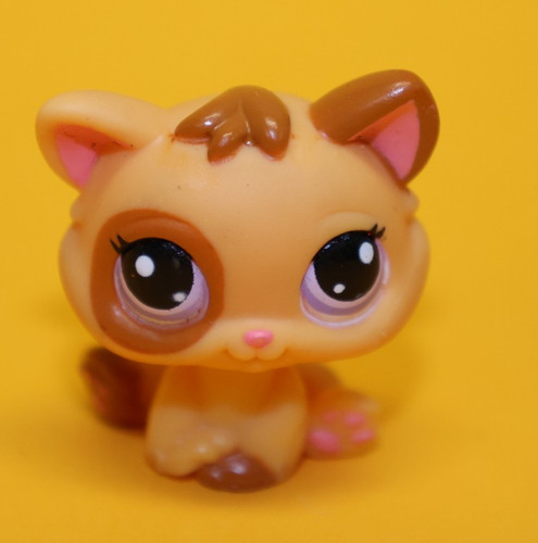 Lps katze 2414 - #2414, augen