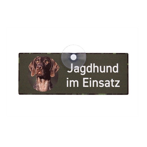 Deutsch kurzhaar braunschimmel - kurzhaar,