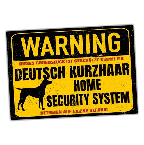 Deutsch kurzhaar 30cm groß - kurzhaar,