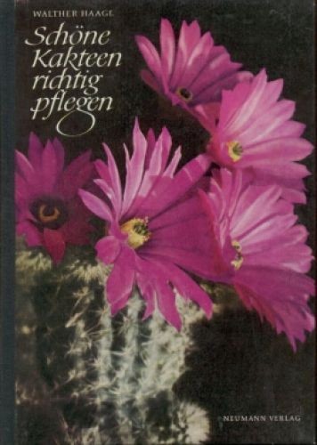 Buch schöne kakteen - schöne, richtig