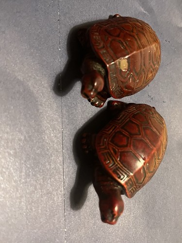 Kleine schildkröte tiefrot - kleine,