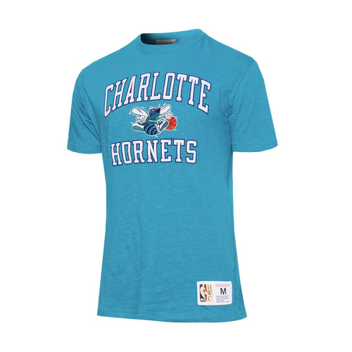 Charlotte hornets nba - hornets,