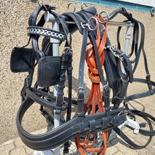 Top   Einspänner Brustblatt