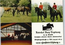 50728271 - 2359 Henstedt-Ulzburg Reiterhof Burg Vogelsang, Pferd Segeberg LKR