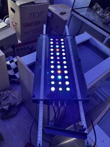 Meerwasser aquarium lampe - meerwasser,