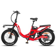 FAFREES 30Ah Akku E Bike 20