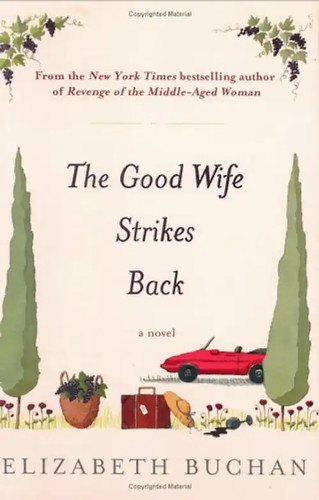 The good wife - good, back
