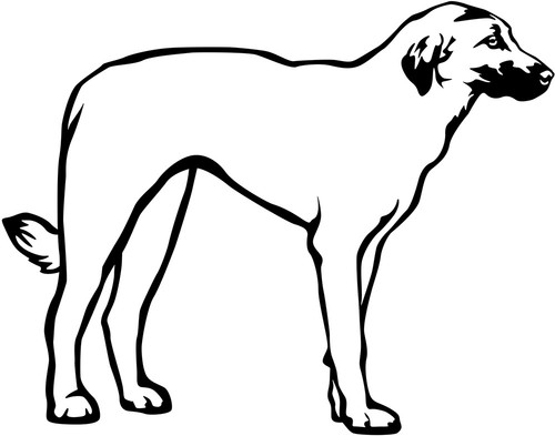 Kangal aufkleber - kangal,
