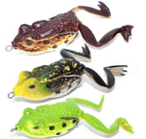 Frosch montiert