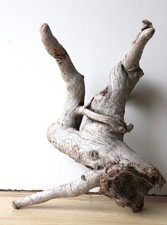 Treibholz Schwemmholz Driftwood 1 knorrige   Wurzel Dekoration Terrarium 31 cm