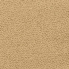 LEDERMUSTER Autoleder DAKOTA