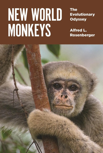 New world monkeys - |, the