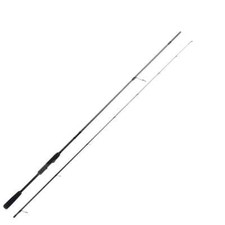 Zeck momentum spin - spin, st